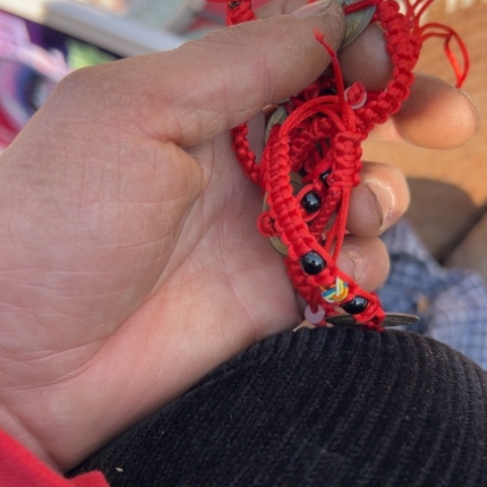 陈***传核桃木/黑胡桃（胡桃木）