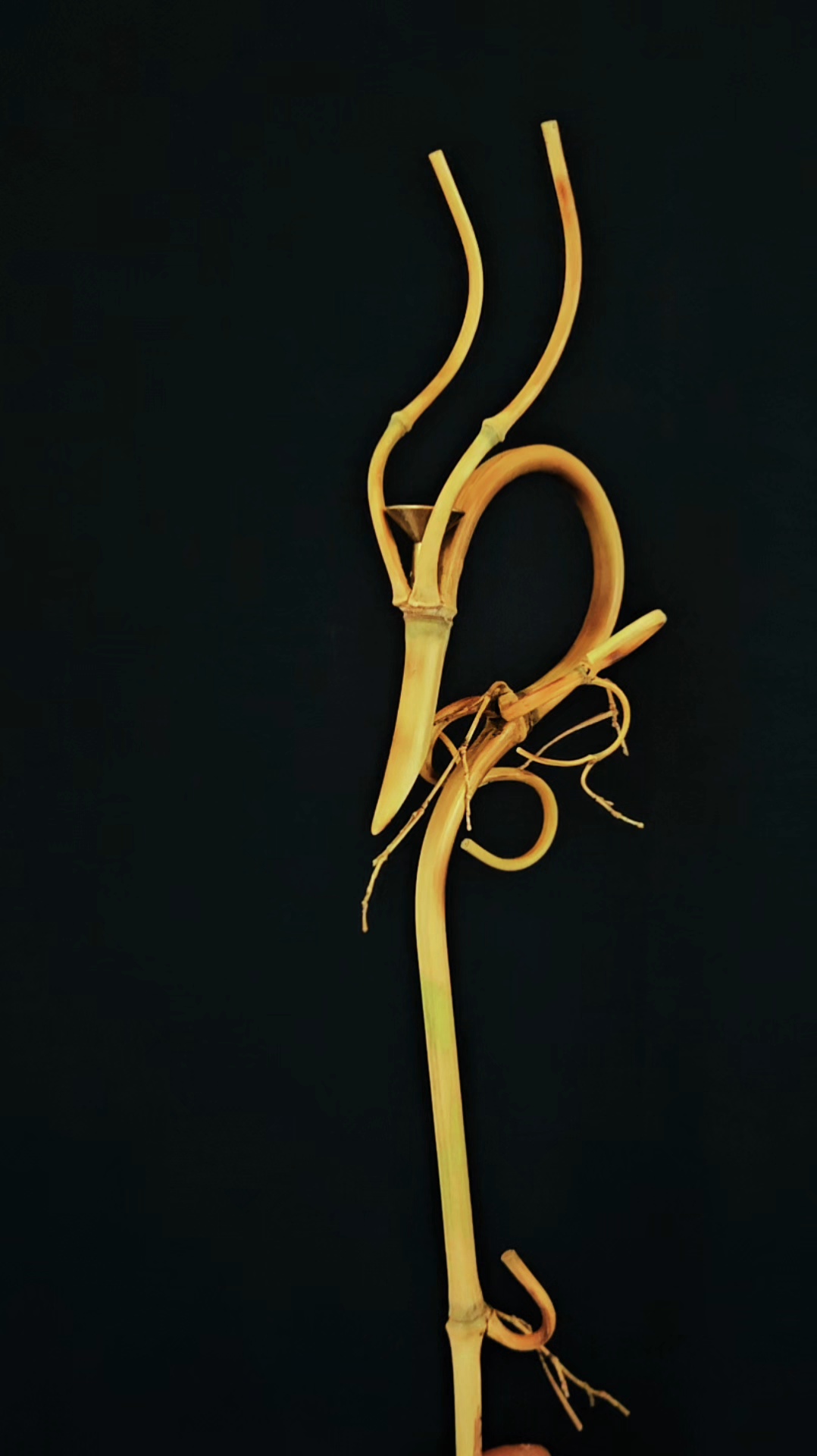 竹龙头葫芦龙头(咨询客服一物一拍专属链接）香插倒流香