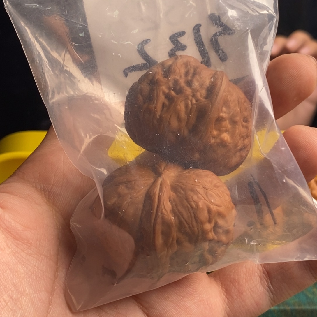 D***e文玩核桃吊坠元宝42