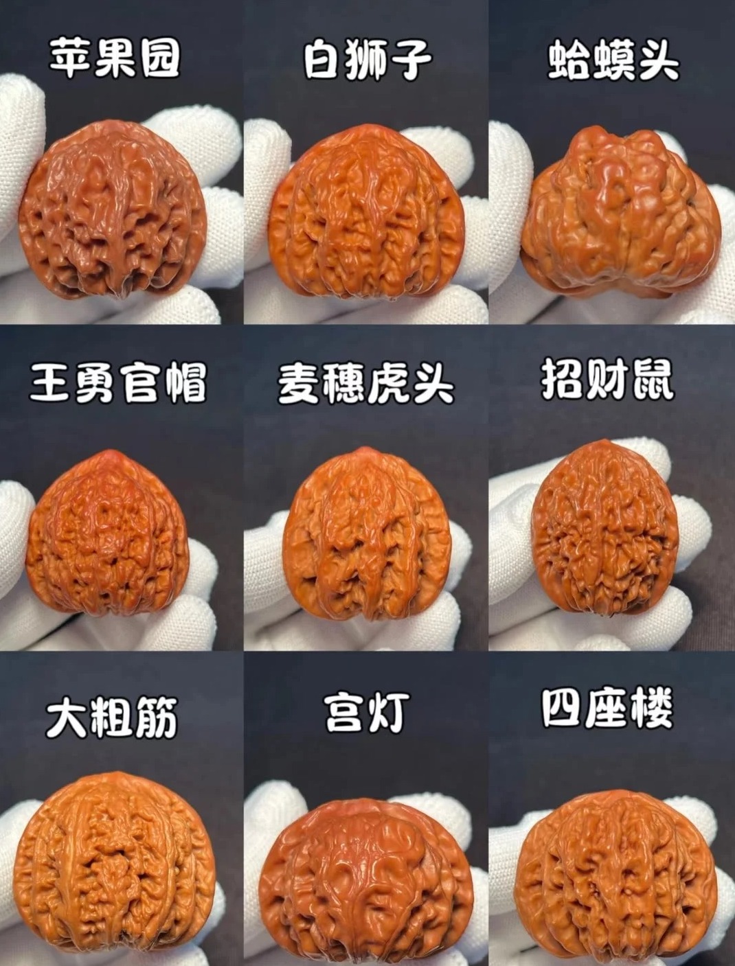 【直播付款专用链接】一物一图，文玩核桃专用