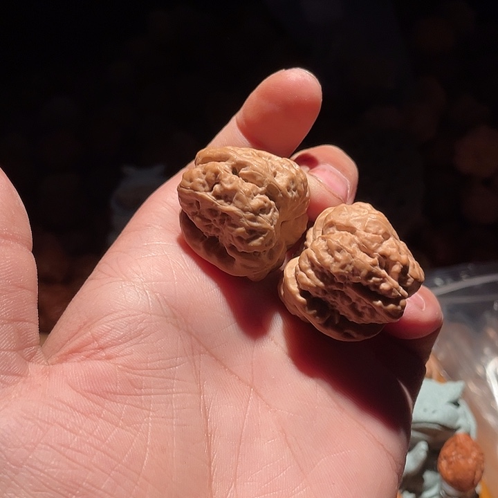 嘉***哥吊坠文玩核桃111111