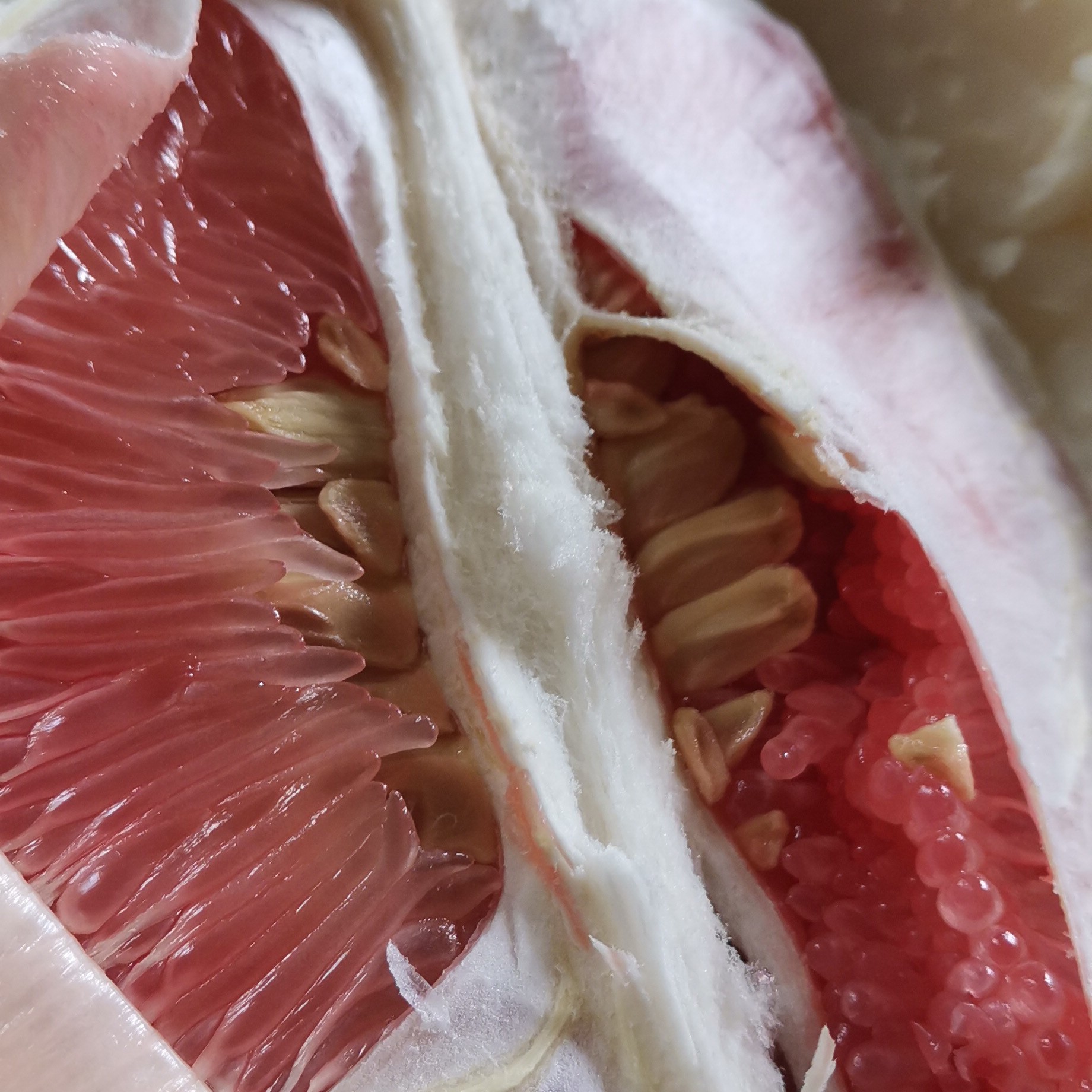 新鲜现货广西特产容县自良水果柚子大果袋装蜜柚甜微酸脆口