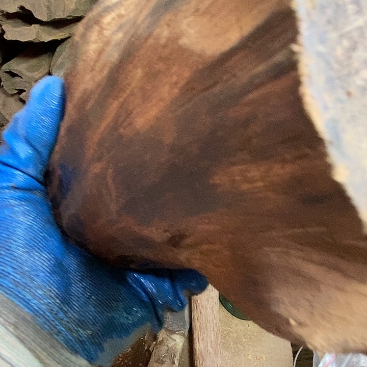 海***烂非洲紫檀（红花梨）把件，你是不是真的喜欢