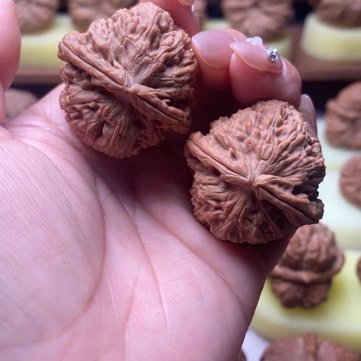 大叶紫檀（黑酸枝木类）白狮子36