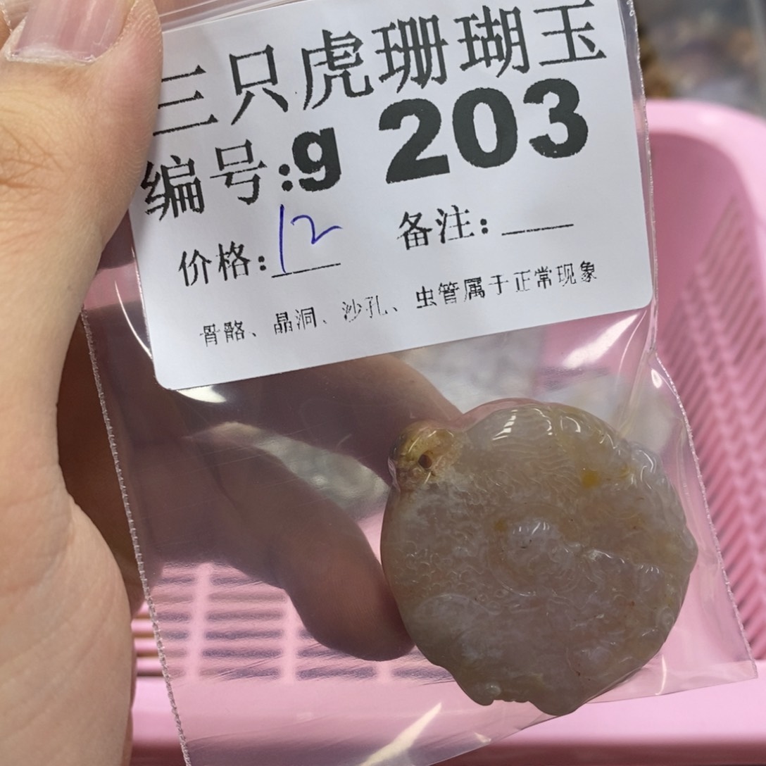 硅化珊瑚（珊瑚玉）未镶嵌1安****o