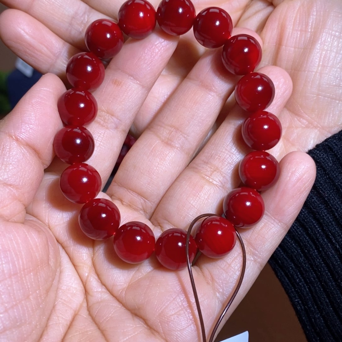 贝壳杉帝王血龙木1.2
