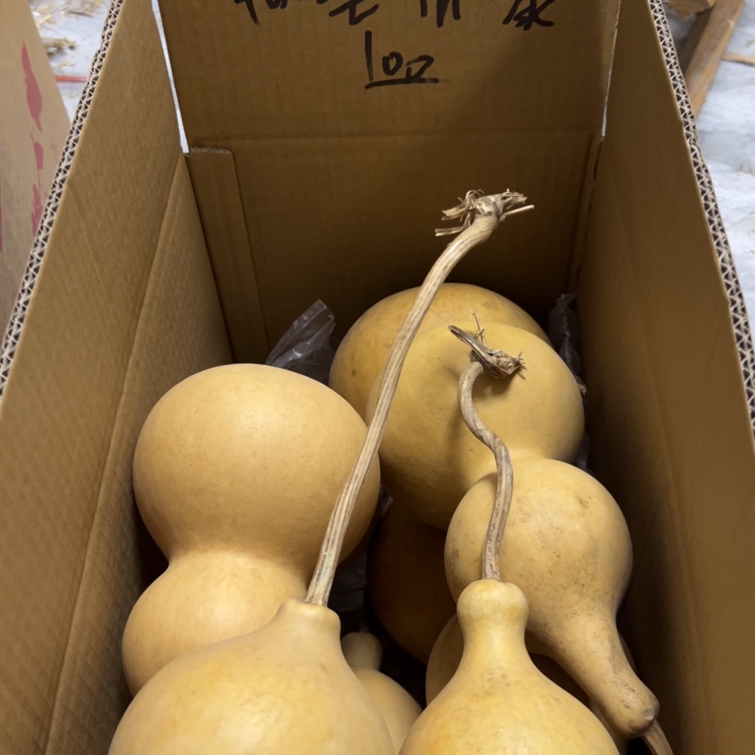 翰***缘有机玻璃葫芦葫芦