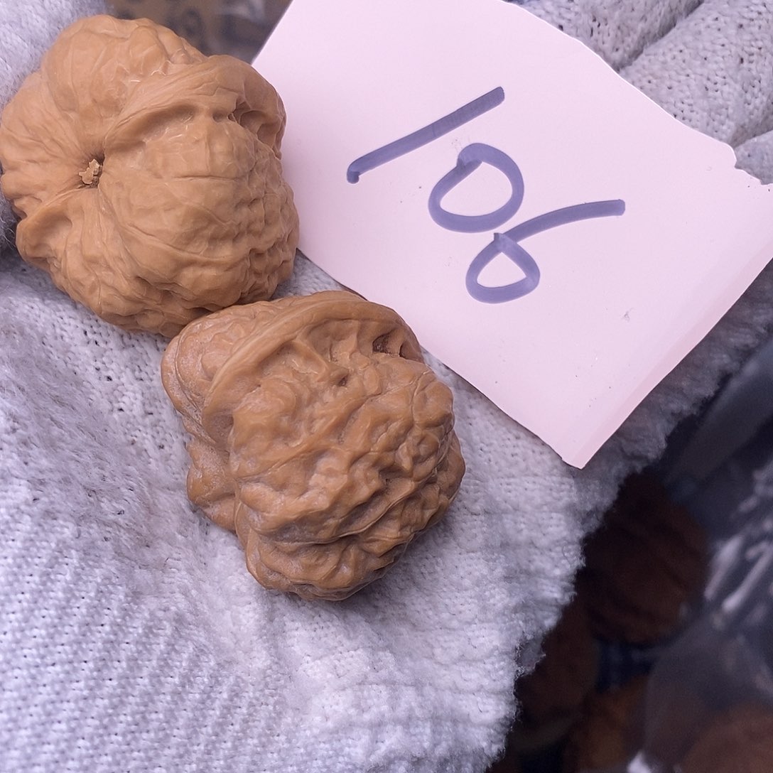 桃核把件淡**行蛤蟆头