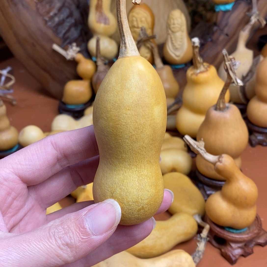 写***意跨教练咯教练咯教练咯