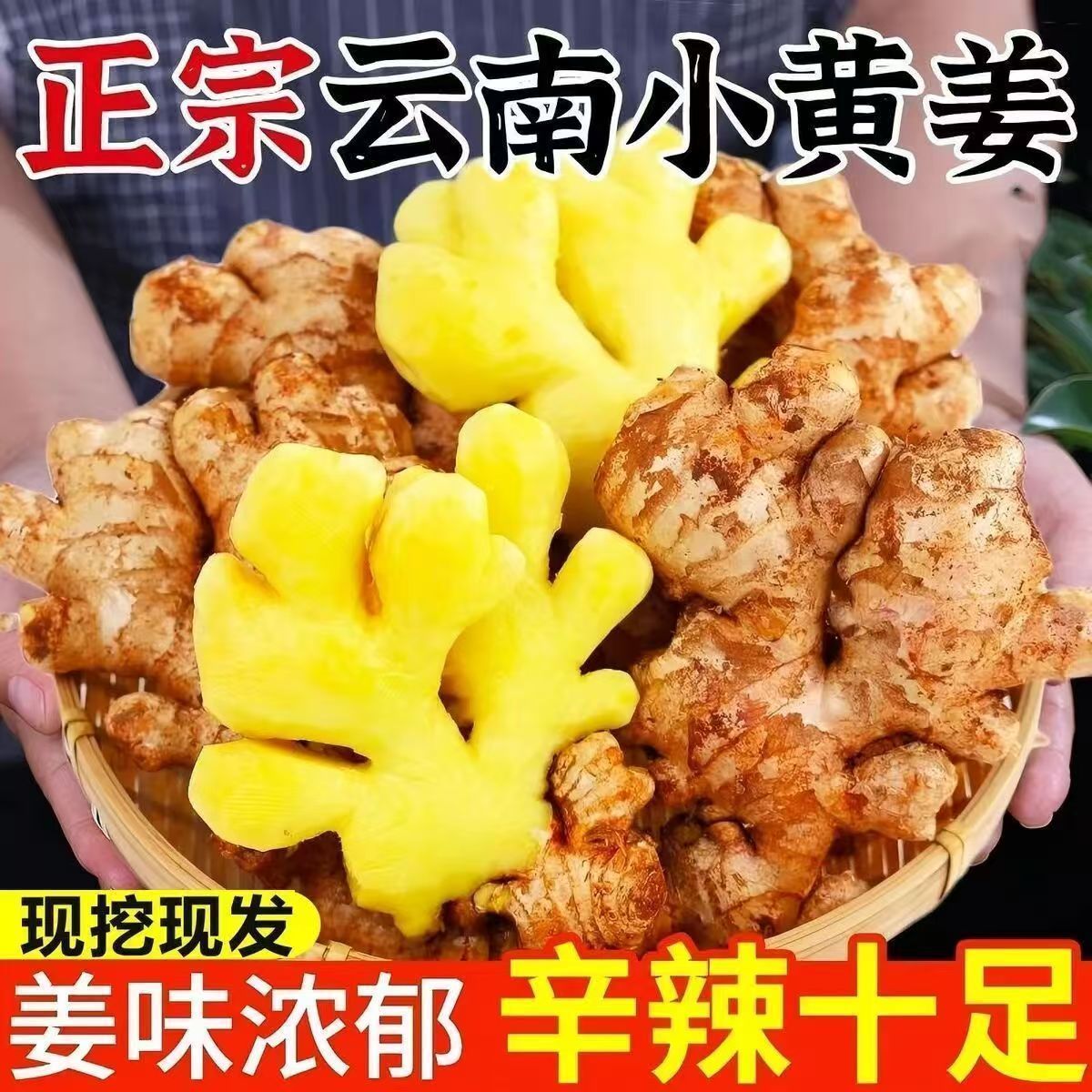 S3正宗云南小黄姜新鲜现发生姜老姜沙姜蔬菜嫩姜仔当季整箱批发