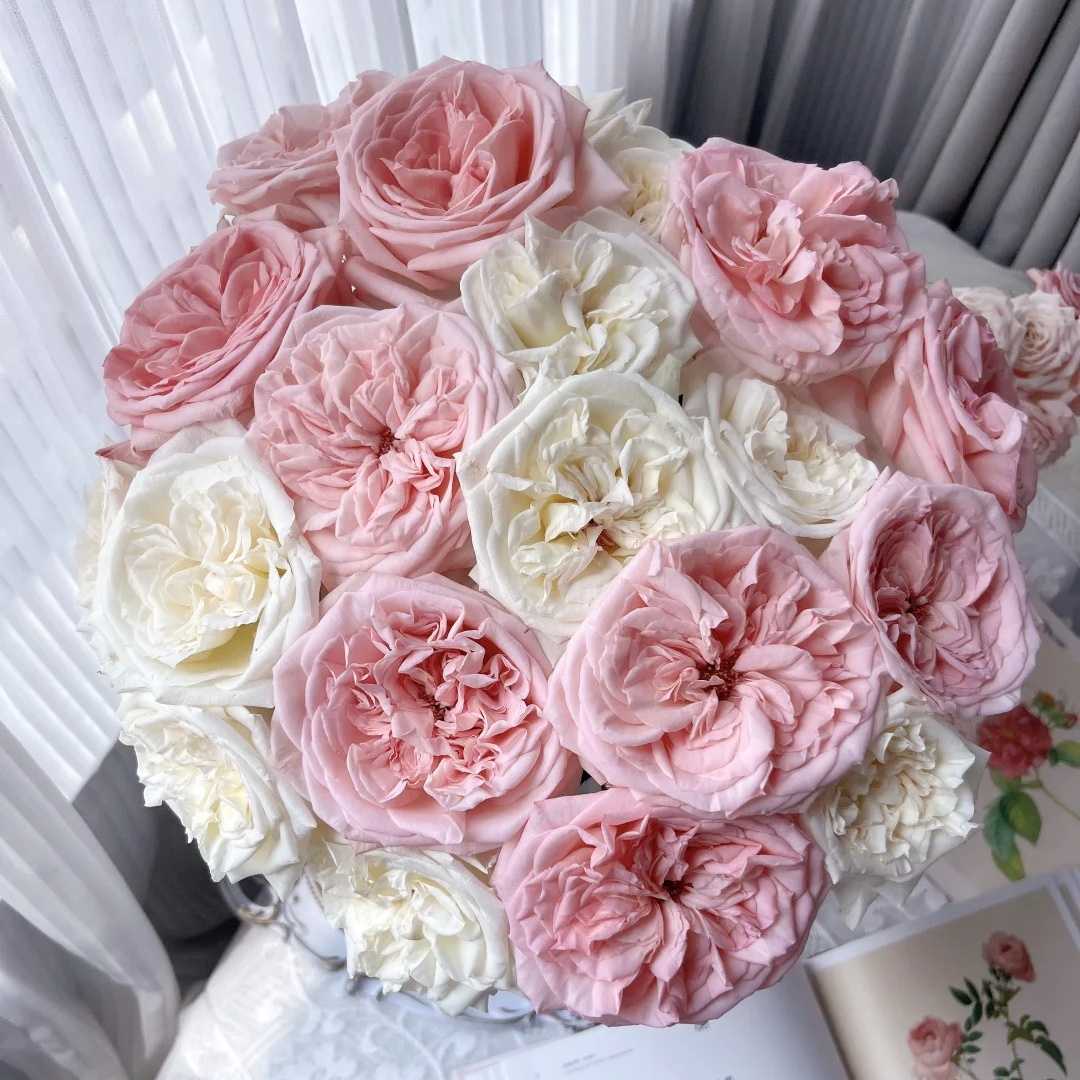 【花之物语】粉白荔枝单头玫瑰组合 包邮