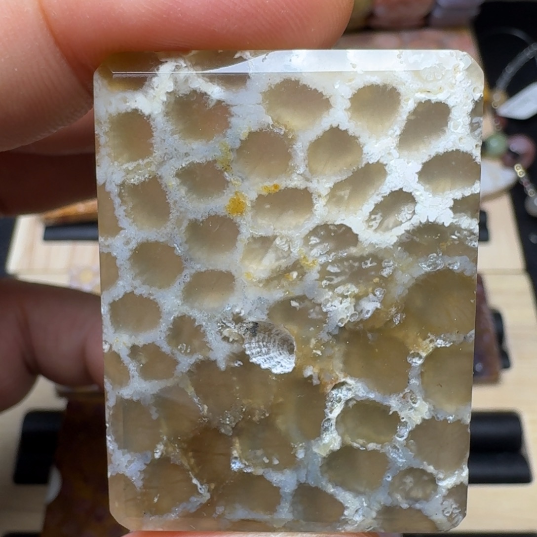 未镶嵌纯天然色有机玉石保真色硅化玉