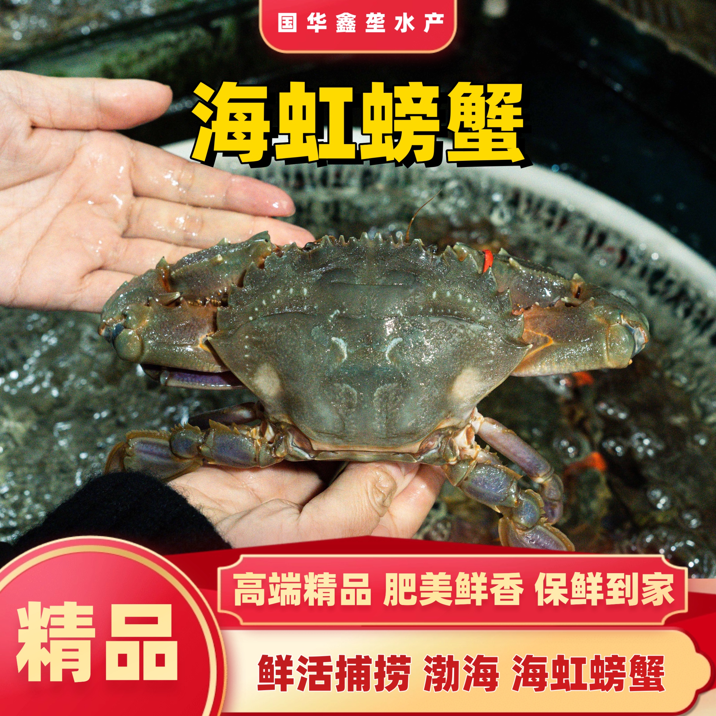 【精品】海虹螃蟹 渤海精品单只6两左右 鲜活发货 肉质肥美 人工精选【保鲜不保活】国华鑫垄水产