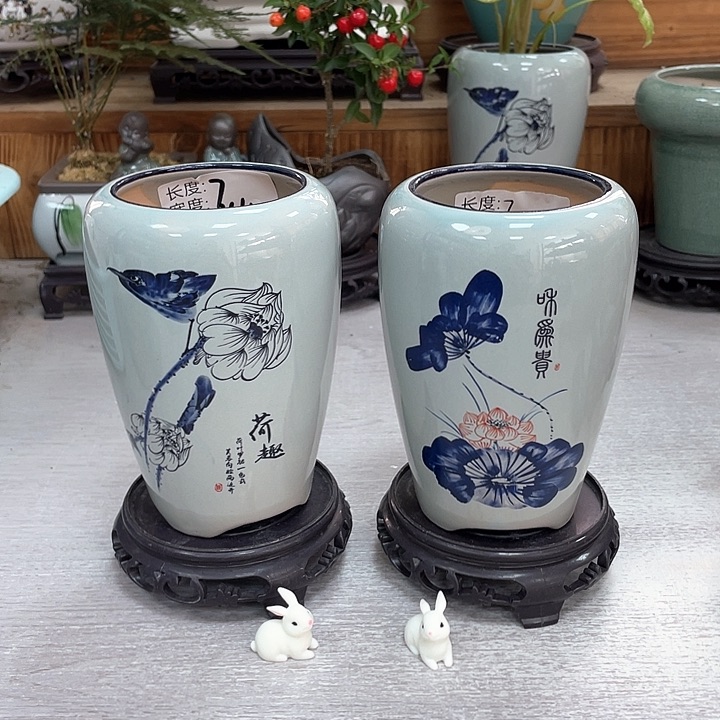 双12狂欢紫砂陶瓷花盆直播抢购