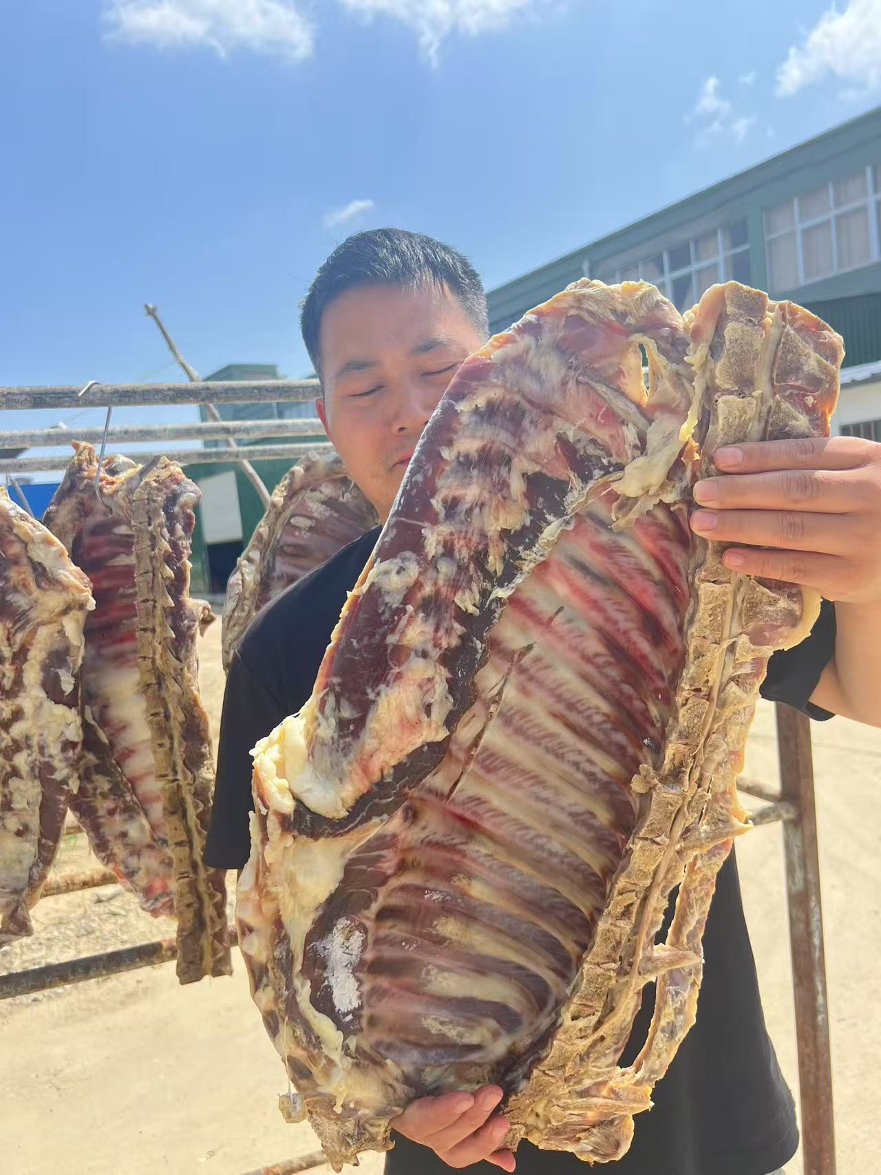 猪排排骨  信阳自然风干晾晒精品腊猪排  10%脊骨含量10%脆骨含量