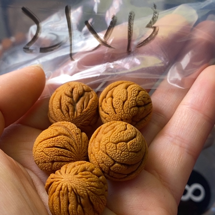 文玩核桃手串秦岭野生龙纹桃核21
