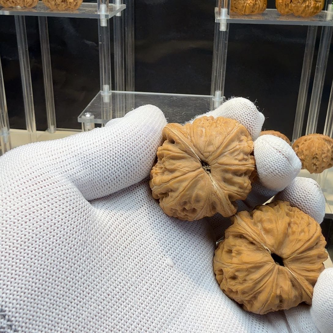 清***淡文玩核桃把件全品元宝