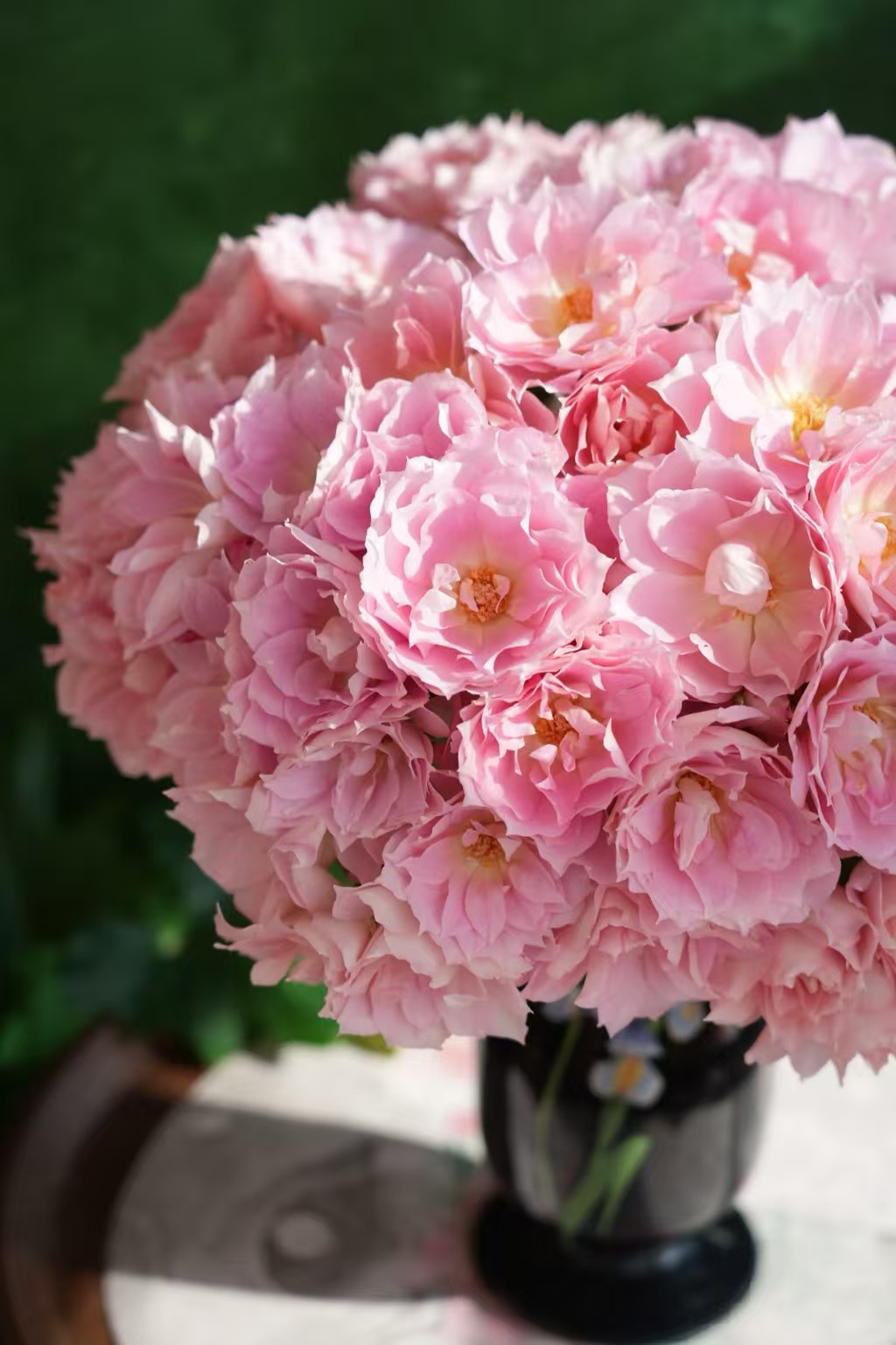 【花汀私享】星河-稀有多头玫瑰（注意带包装醒花哦~）