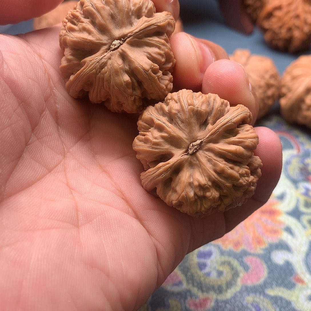 吊坠文玩核桃粗筋