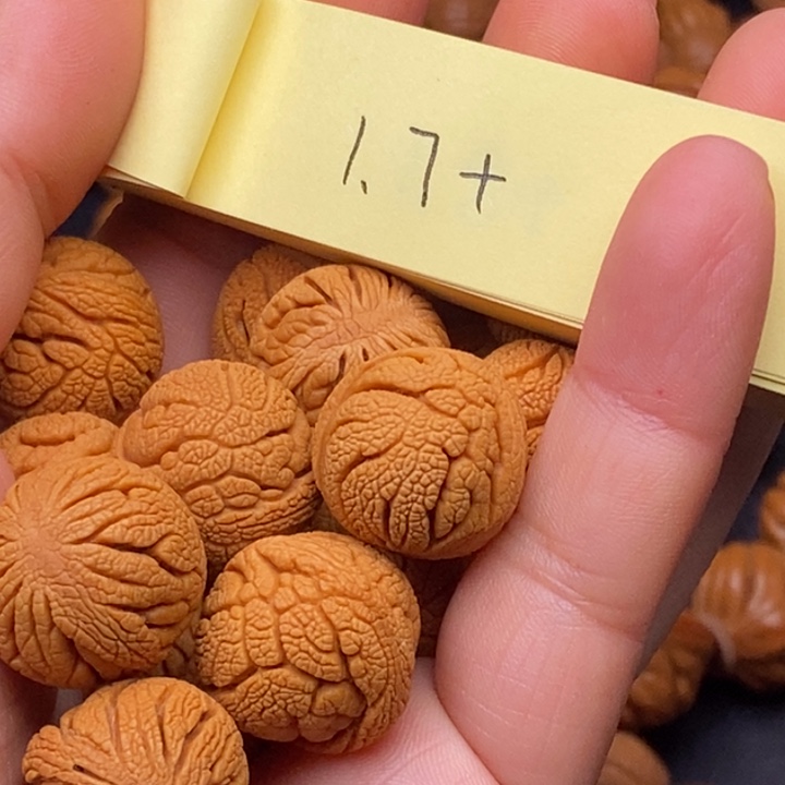 秦岭龙纹桃核15颗