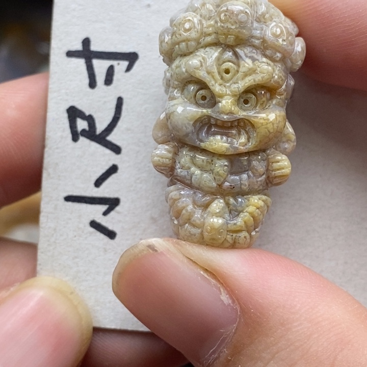 硅化珊瑚（珊瑚玉）未镶嵌颈饰