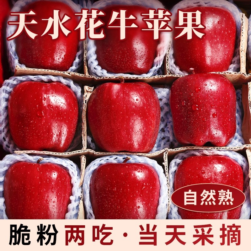 甘肃天水花牛苹果脆粉两吃新鲜现摘粉面沙甜当季孕妇老人小孩水果