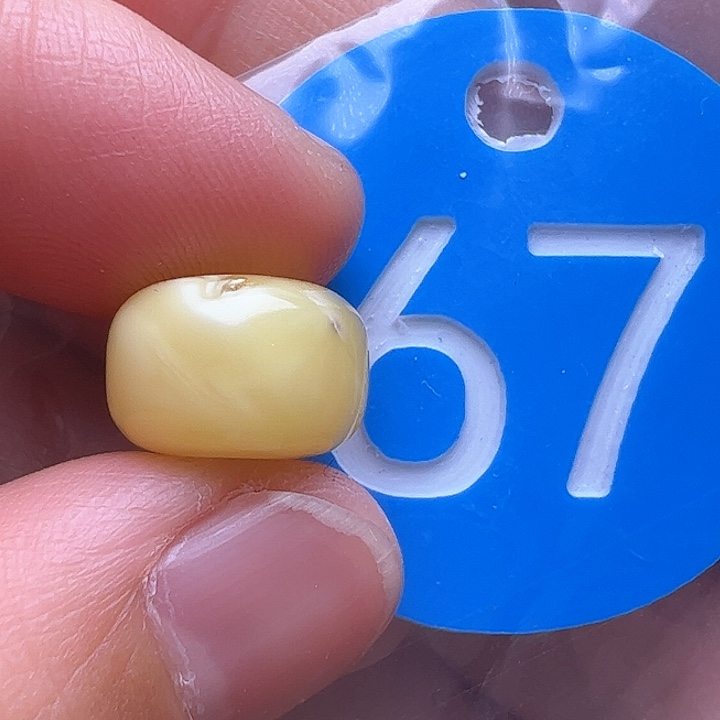 蜜蜡裸石未镶嵌微瑕内裂12.3m m