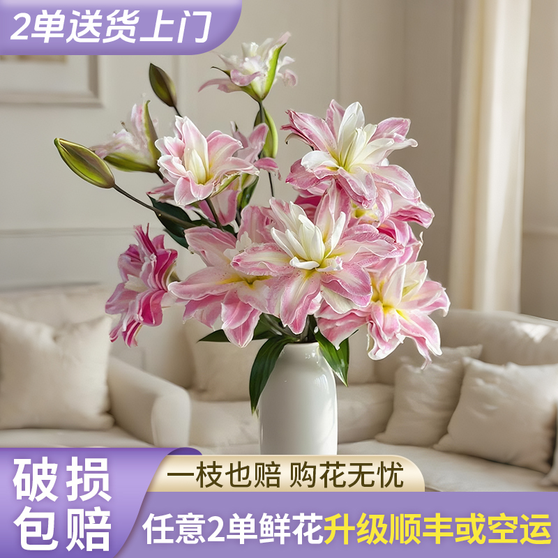 【源头优选】莲花之境重瓣香水百合花水养插花用云南直发鲜花