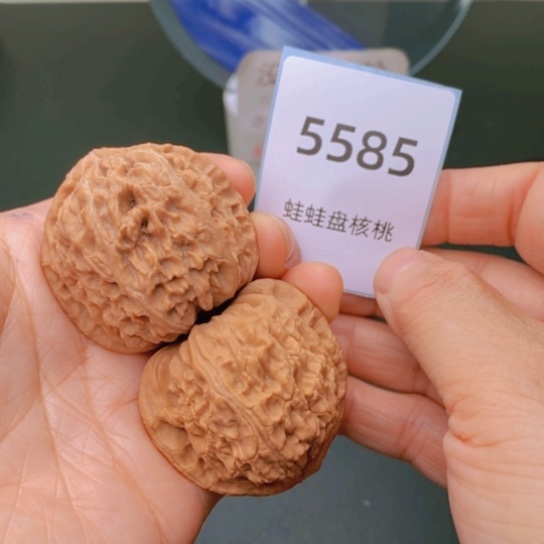 把件文玩核桃43白狮子5585