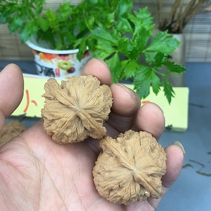 文玩核桃把件白狮子练手对43尺74号