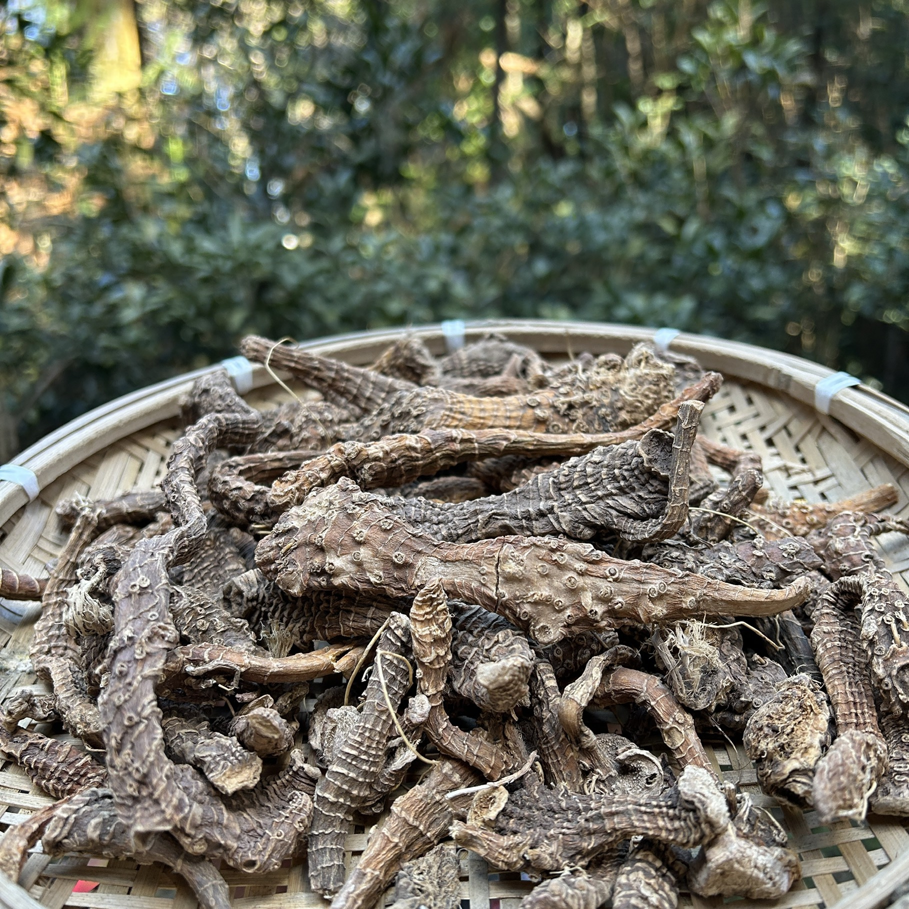 2【阿-勃-参】净含量：250g-1500g【阿忠现收现卖】