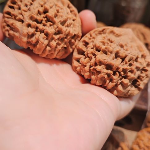 通***吃文玩核桃吊坠50龙鼎管帽