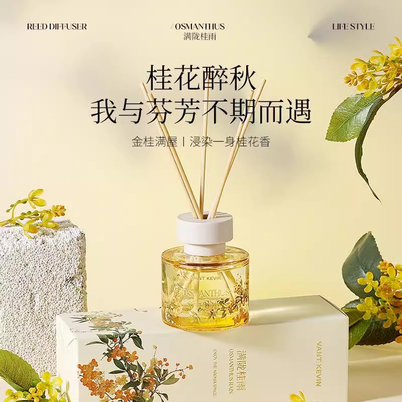 【买二送一】vant Kevin客厅香薰持久留香精油家用室内高级摆件香氛