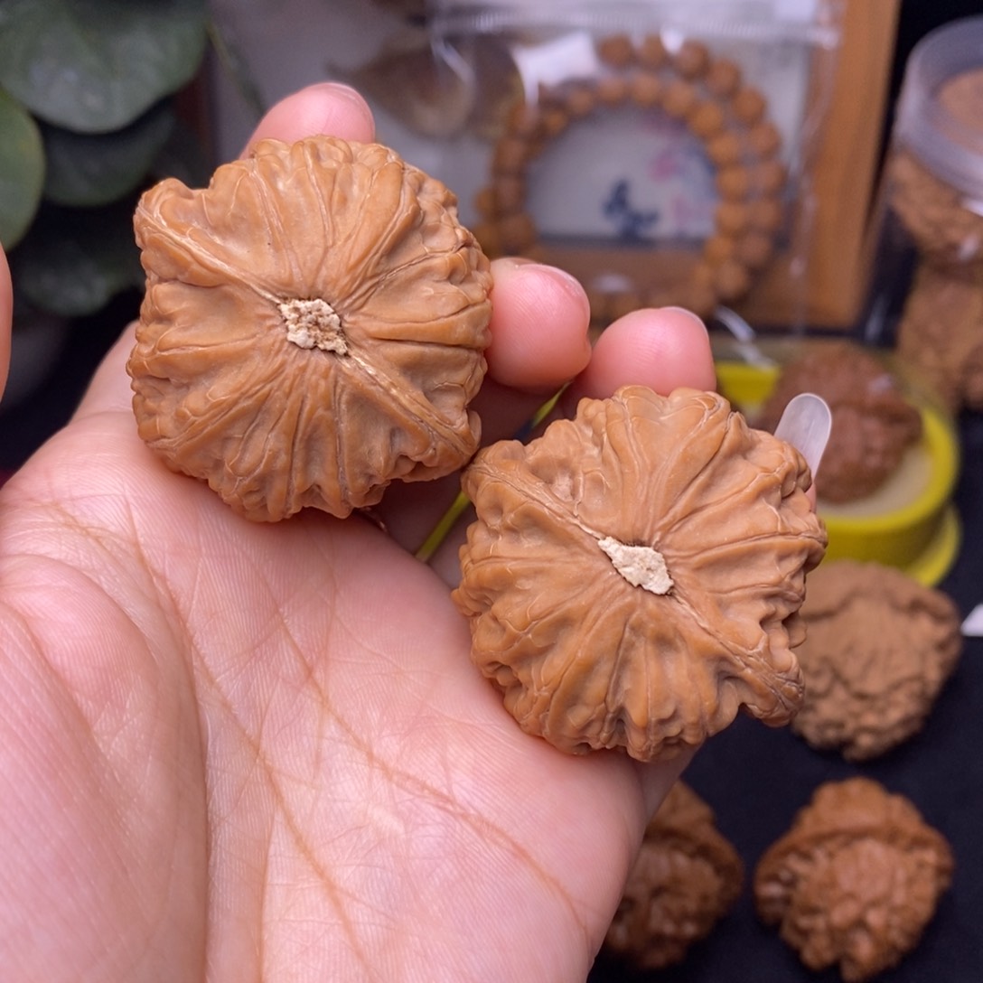 文玩核桃把件43玄武