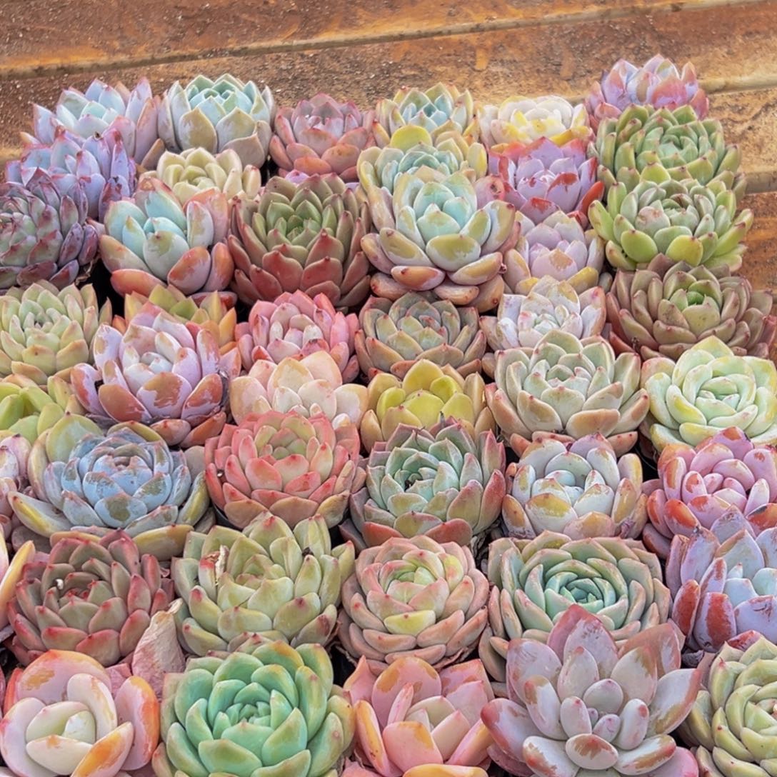 005大热天的一天从早上开始