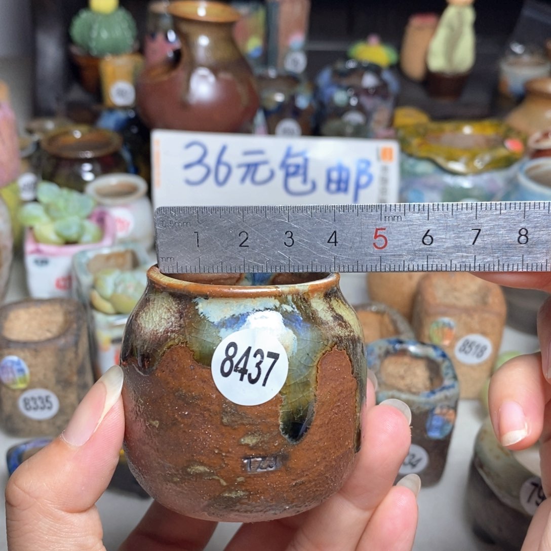 拍5送一个小礼物