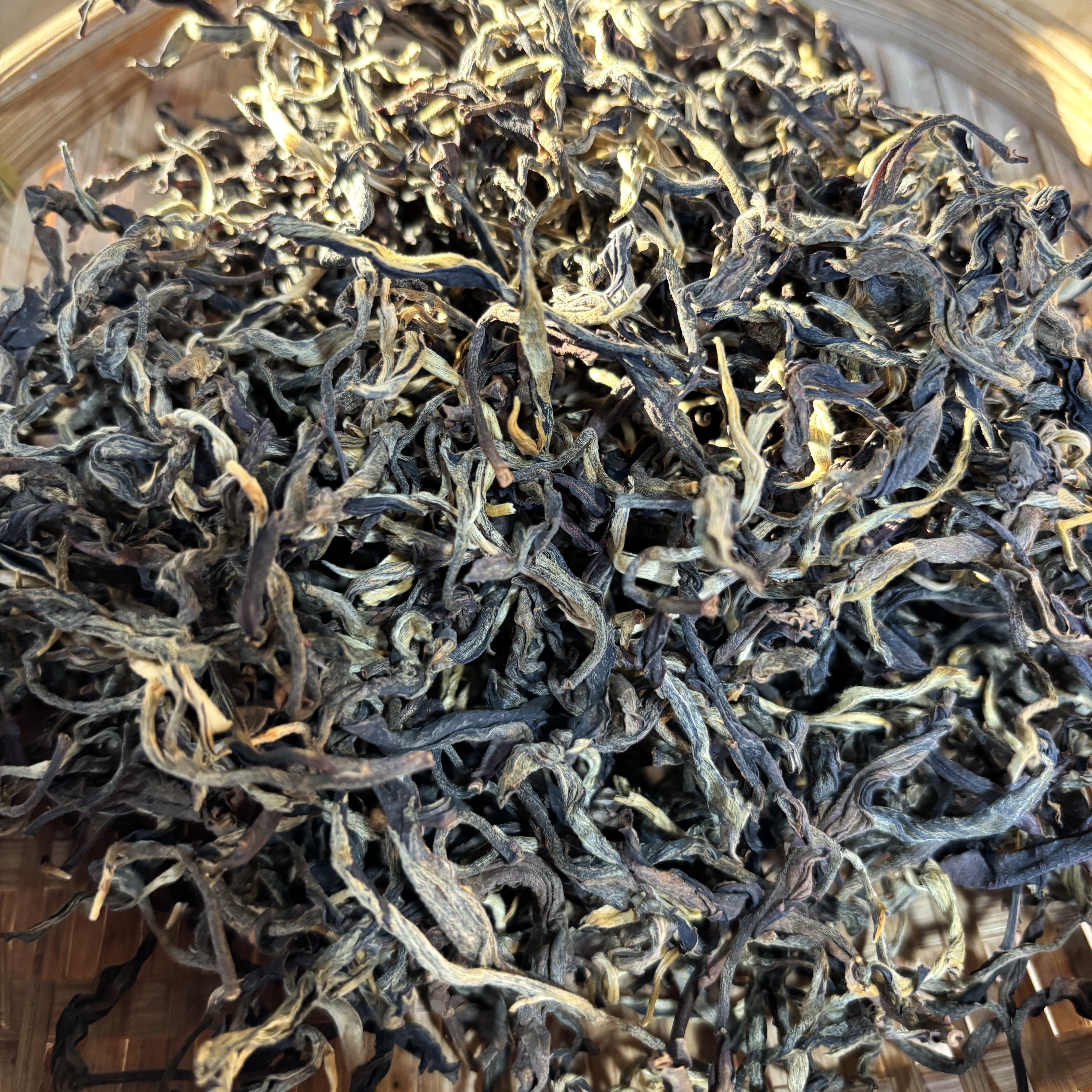 687号2025年邦木三家村春茶古树晒红散茶200克12-21