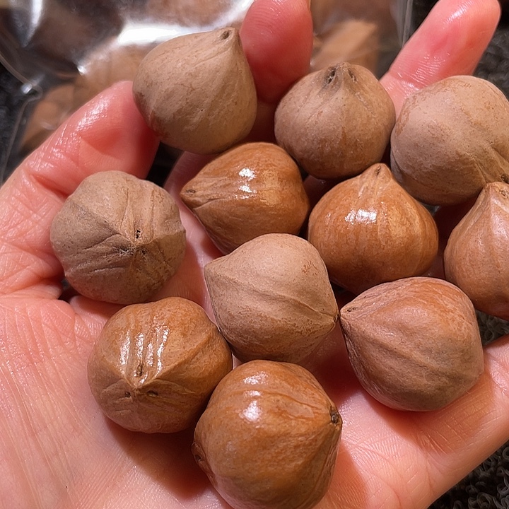 ****7吊坠橄榄核2.3✖️2.5