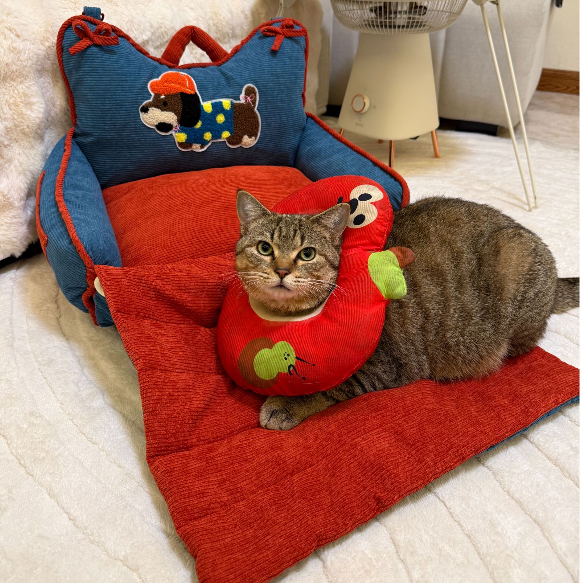 宠物懒人沙发猫窝冬季通用小型犬猫咪睡觉专用可拆洗狗狗窝车载款
