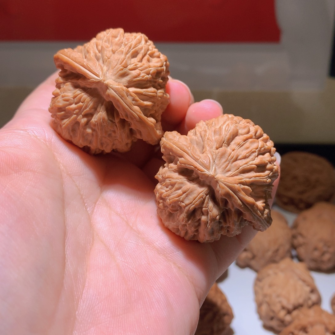 把件文玩核桃白狮子41.5尺