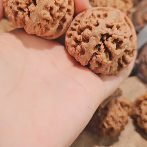 文玩核桃吊坠46.5粗筋