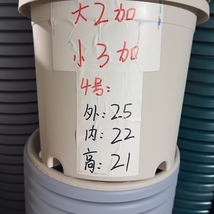 四季4号灰白无托10个