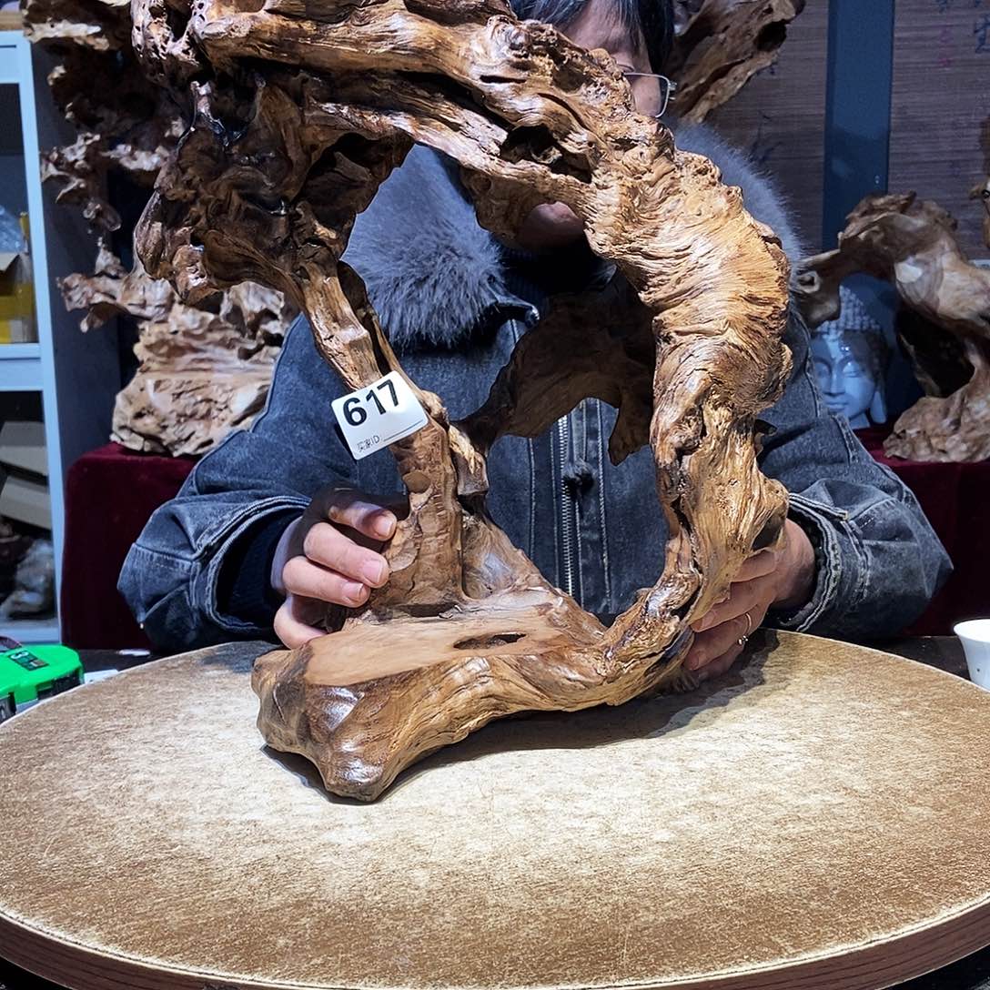 泡***余617。株木随行根艺