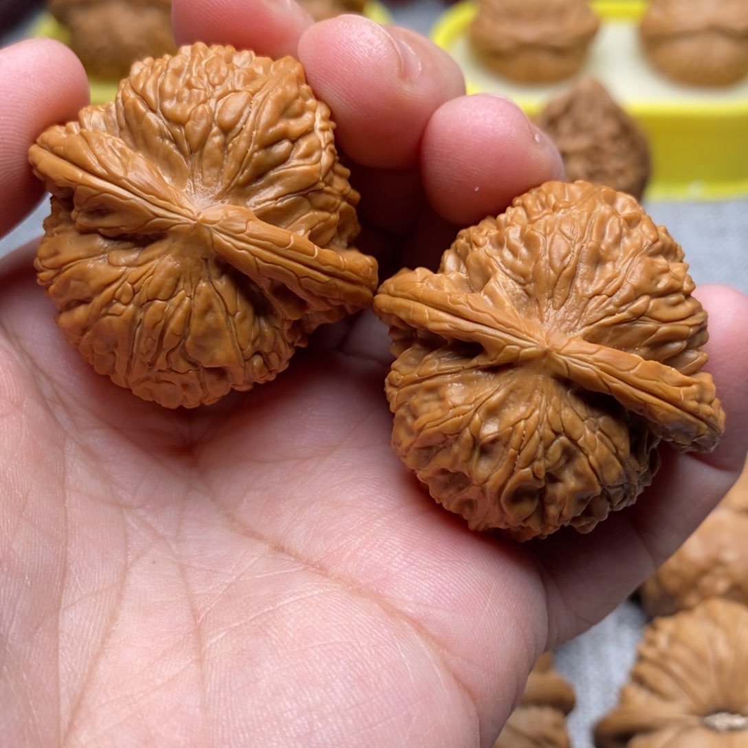 文玩核桃把件40红皮白狮子精品