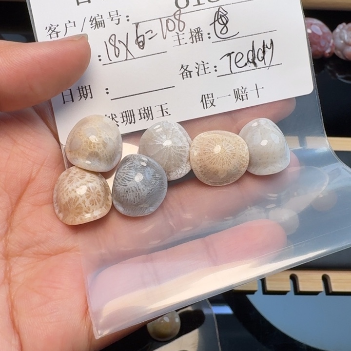 T***y硅化玉合金颈饰福利