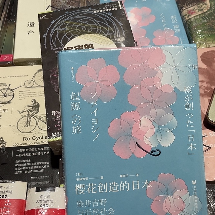 樱花创造日本：微瑕2/