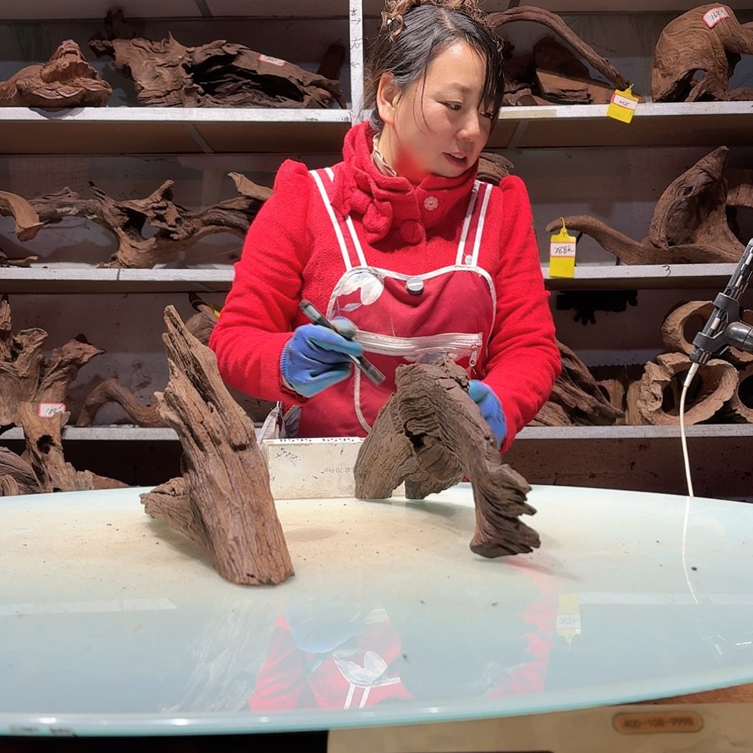 倍褚沉木不包损必褪色喜***鞋5649-2