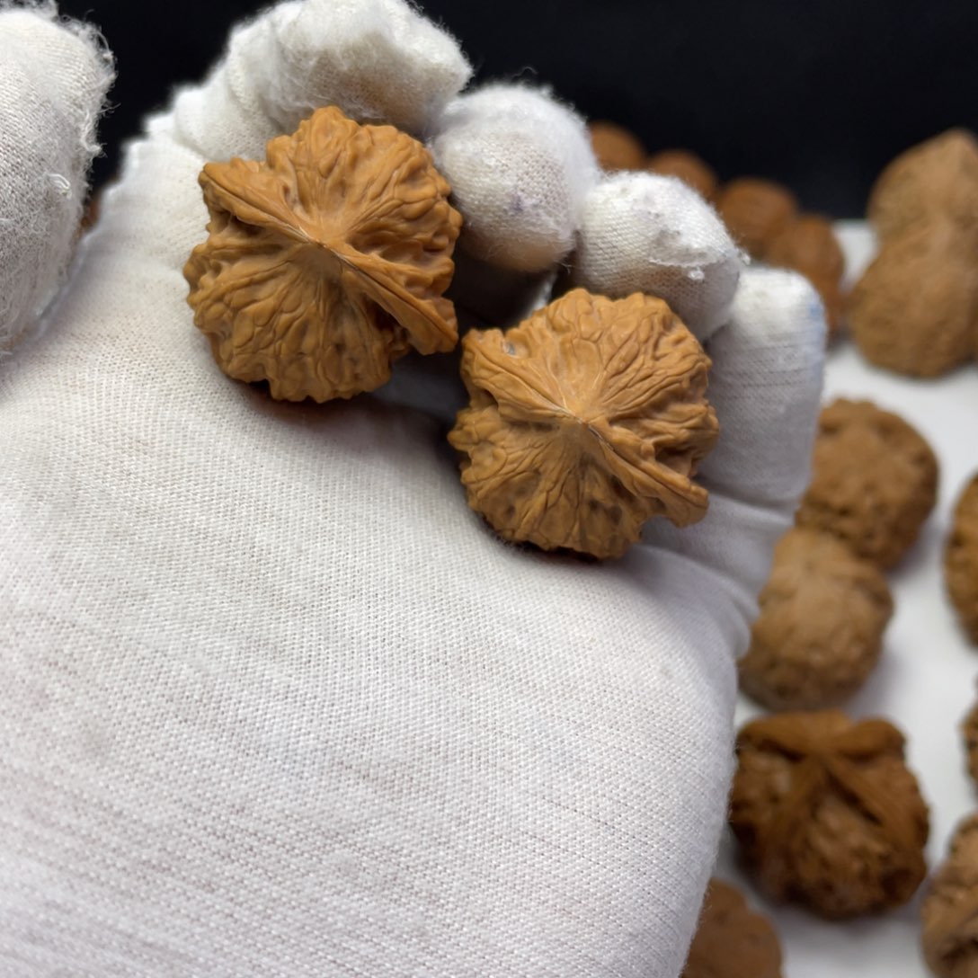 文玩核桃把件31+嘛核桃手捻