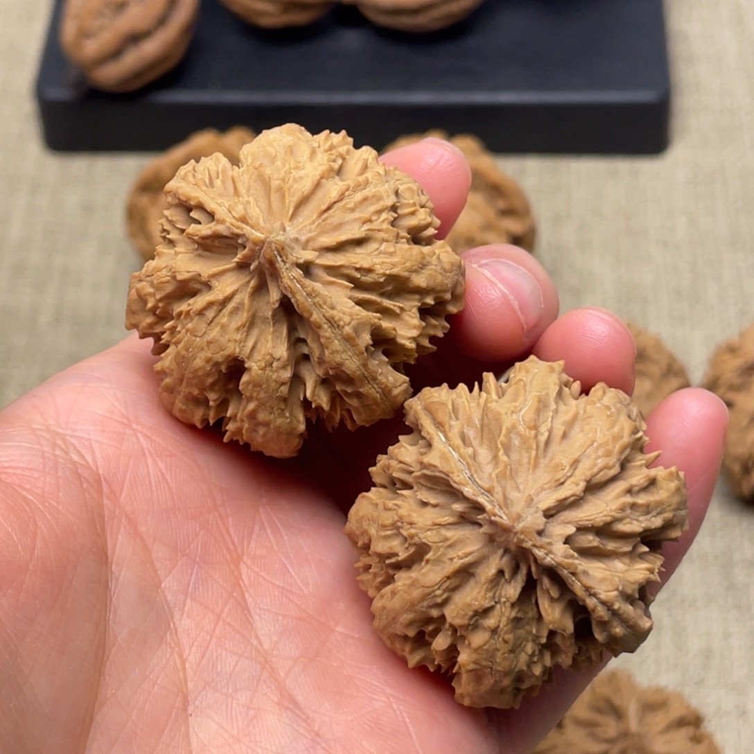 把件文玩核桃秦岭核桃45号