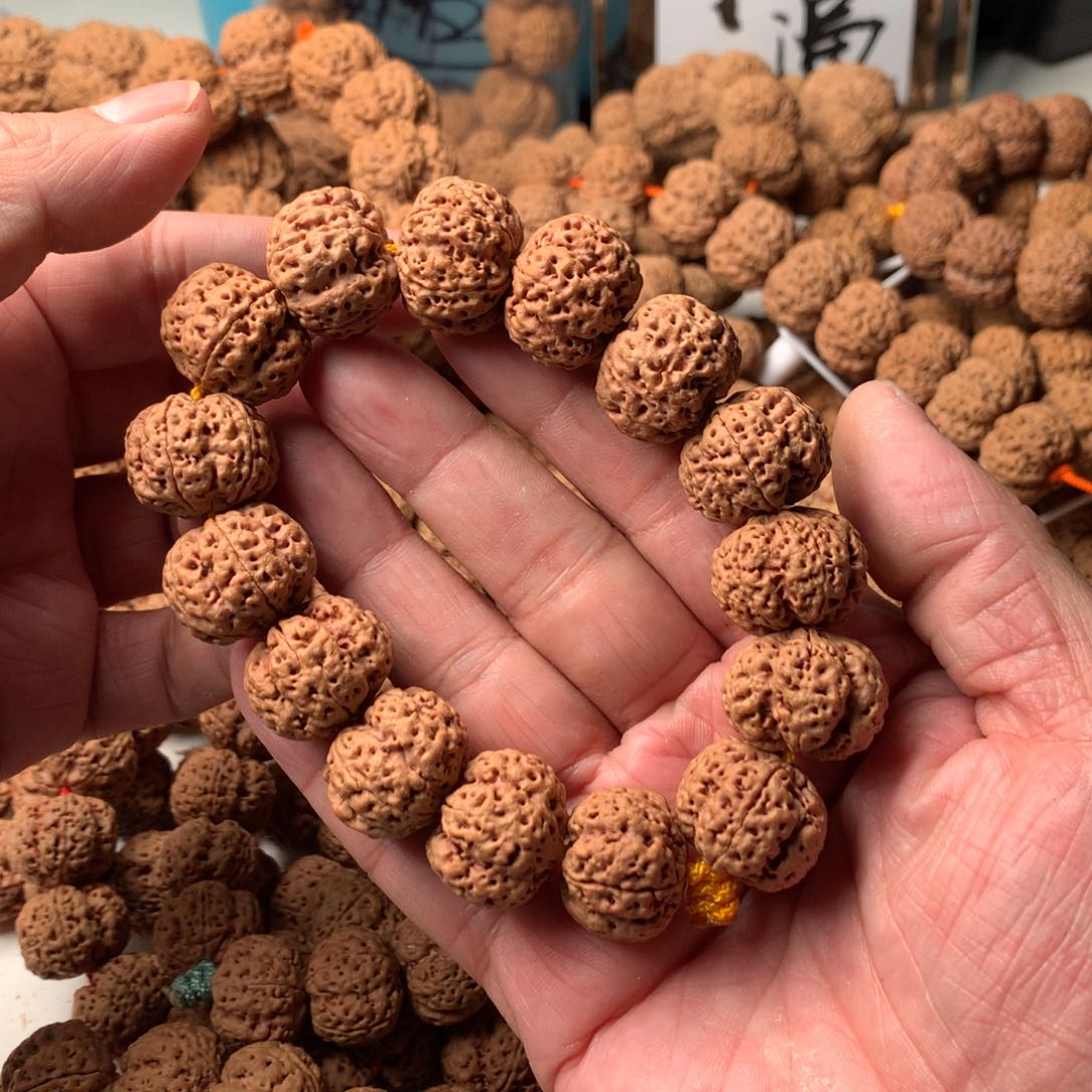 金刚菩提手串Ｚ**Ｏ20龙牙头货